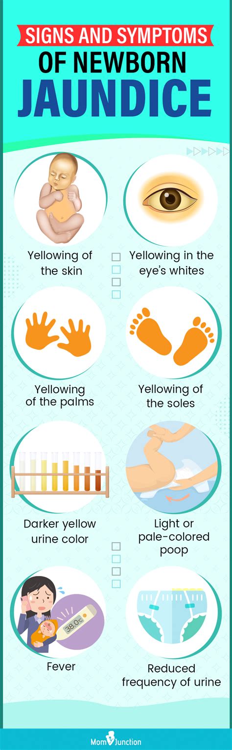 How common is newborn jaundice